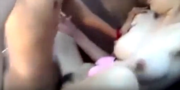 คลิปหลุดไทย วัยรุ่นเย็ดมันส์ ซอยกันจัดเต็ม กระแทกอย่างแรง